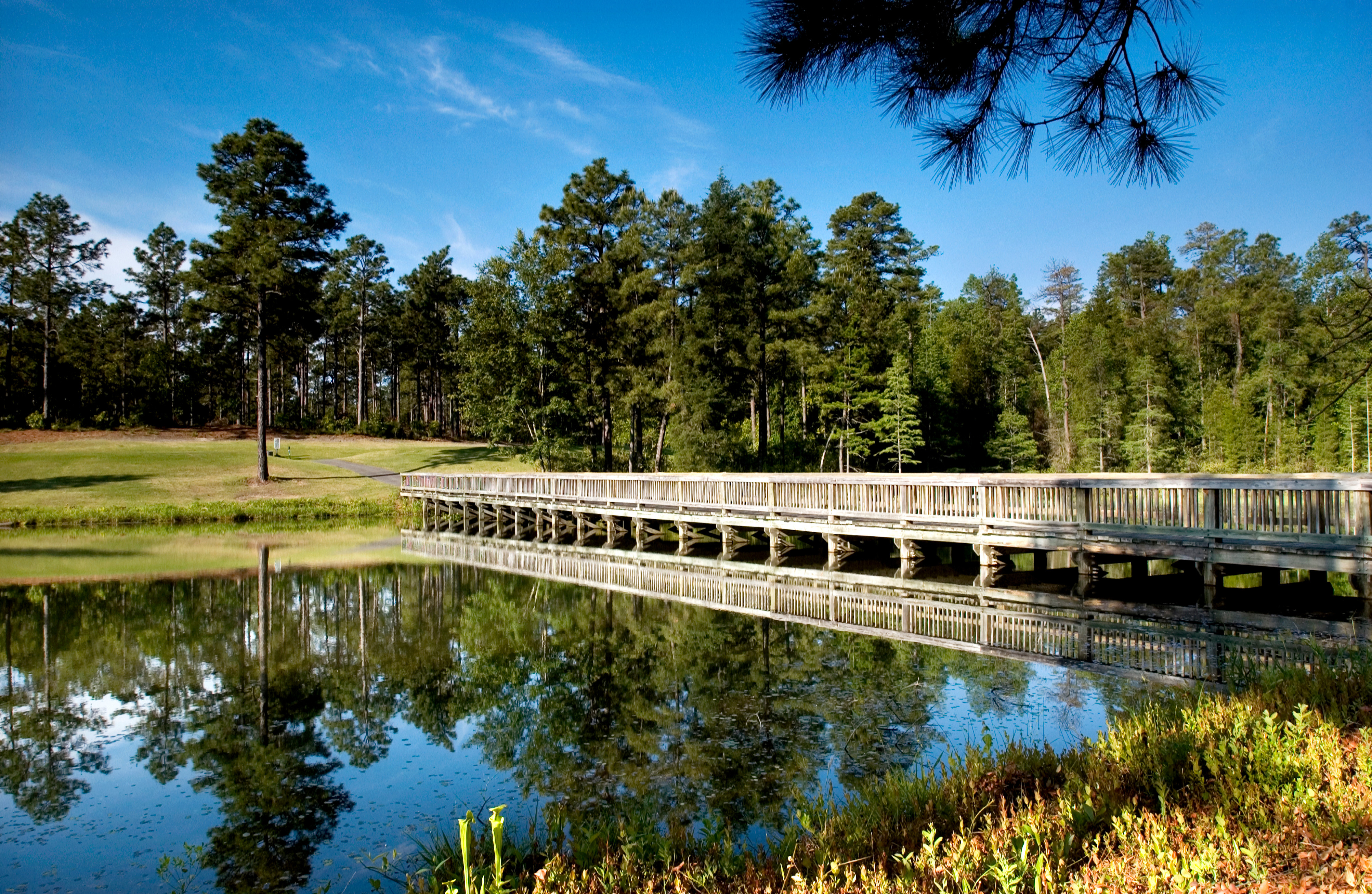 Course Photos Cheraw State Park Golf Course